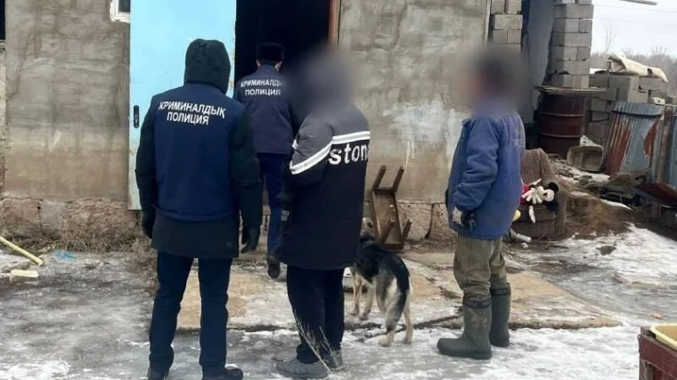 Один ограбил дачу, другой – прохожего: в Уральске задержали подозреваемых | Мой Город Один ограбил дачу, другой – прохожего: в Уральске задержали подозреваемых воров